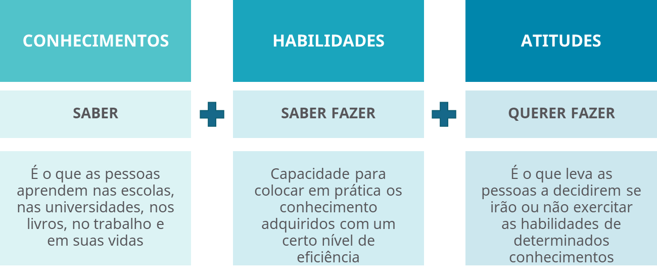 06. O que s o compet ncias e qual a sua import ncia Central de